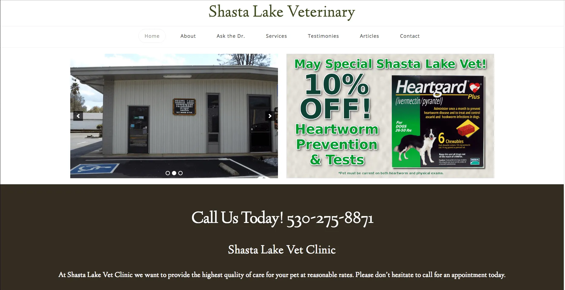 Shastalakevet.com website by Twining Original Design