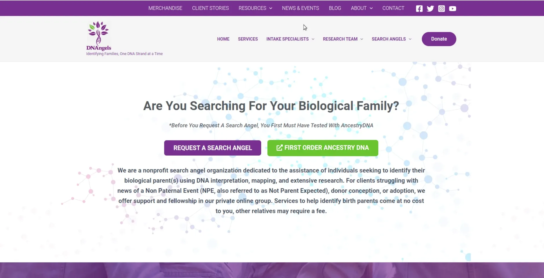 dnangels.org website by Twining Original Design