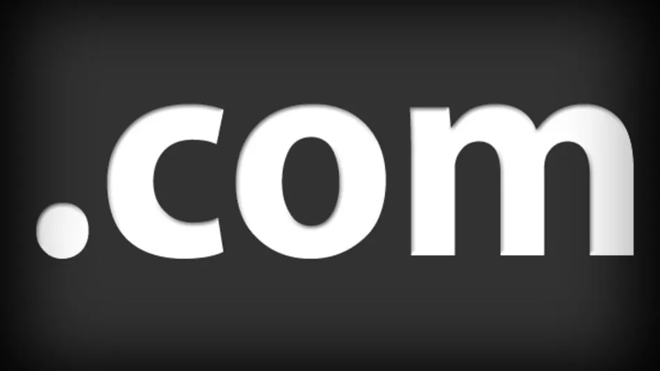 What is a Domain Name?
