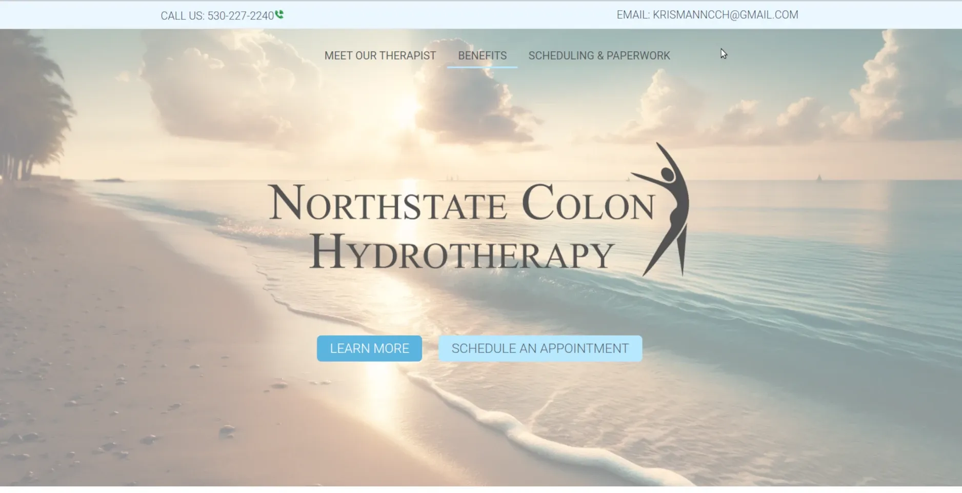 reddingcolonic.com website by Twining Original Design
